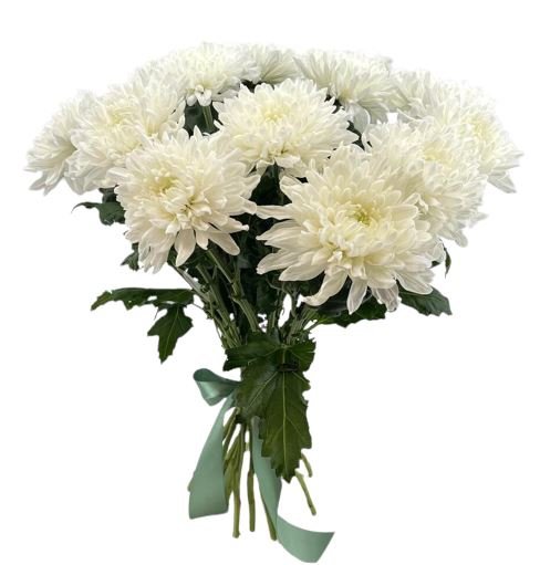 Luxury White Chrysanthemum Bouquet - Florist London