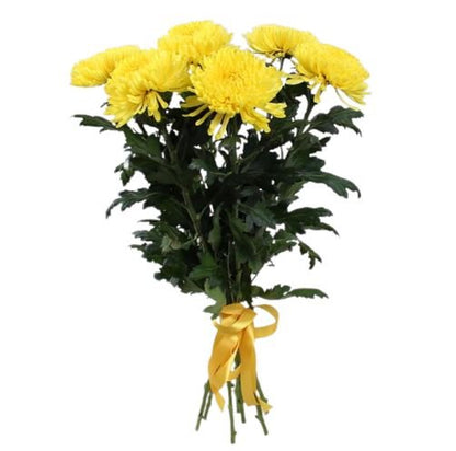 Luxury Yellow Chrysanthemum Bouquet - Florist London
