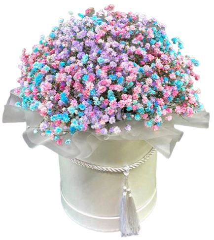 Magic Gypsophila Box - Florist London
