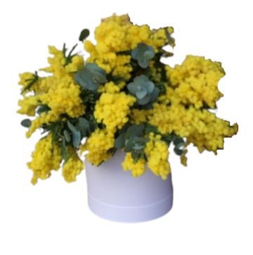 Mimosa Scented Box - Florist London