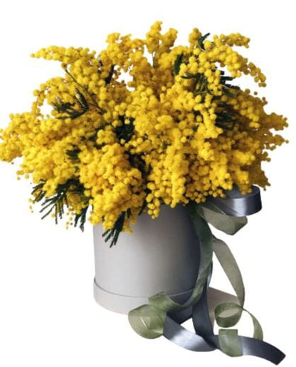 Mimosa Scented Box - Florist London