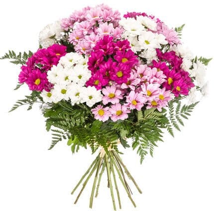 Mix Daisy Chrysanthemum Bouquet - Florist London