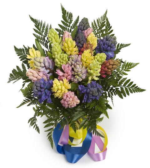 Mix Hyacinth Bouquet - Florist London
