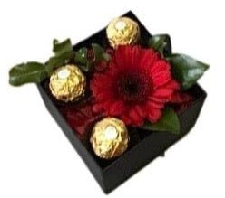 One Fresh Gerbera Box - Florist London