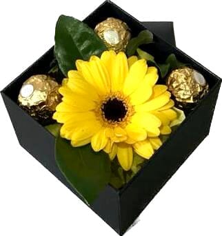 One Fresh Gerbera in a Box - Florist London