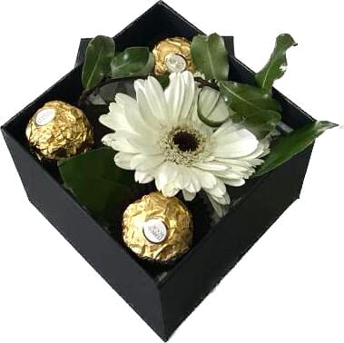 One Fresh Gerbera Square Box - Florist London