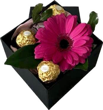 One Fresh Gerbera with Chocolates - Florist London