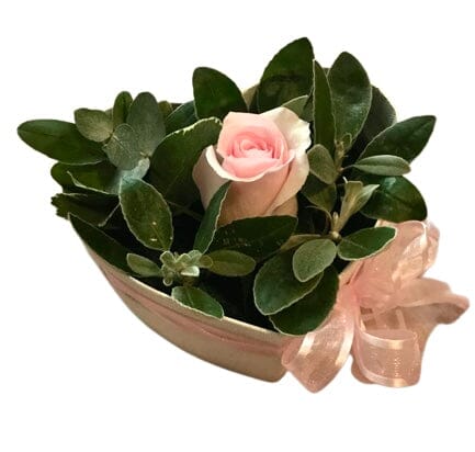 One Fresh Rose in a Heart Box - Florist London