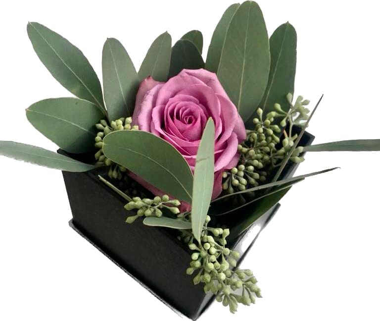 One Fresh Rose with Greenery Box - Florist London