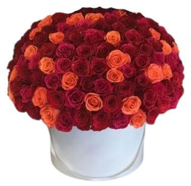 Orange and Red Roses Luxury Box - Florist London