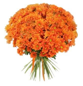 Orange Daisy Chrysanthemum Bouquet - Florist London