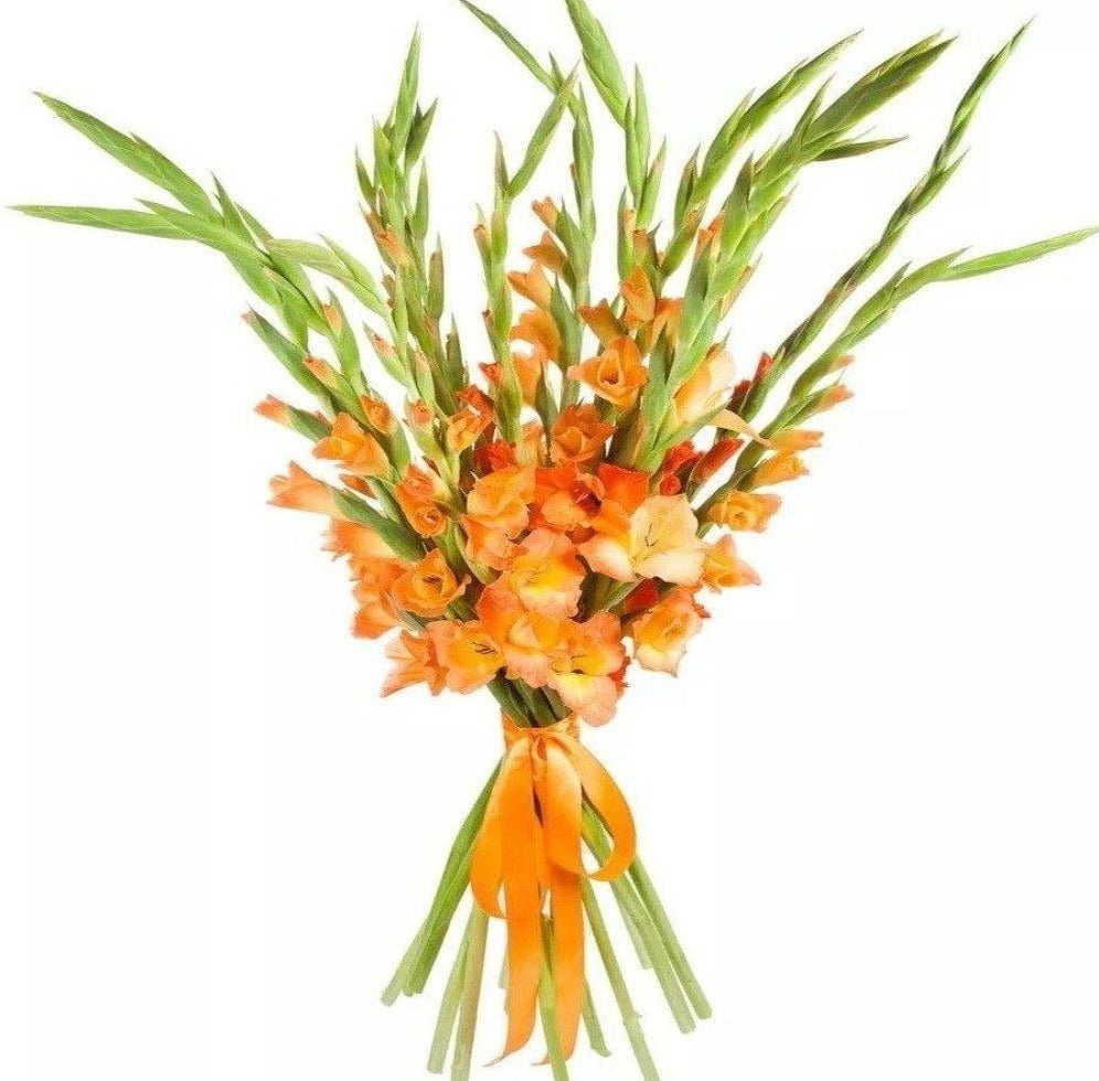 Orange Gladiolus Bouquet - Florist London