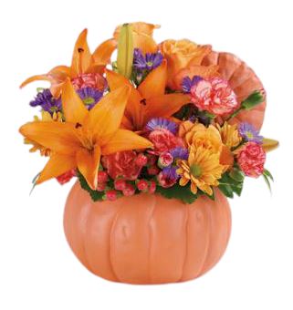 Orange Lily Pumpkin - Florist London