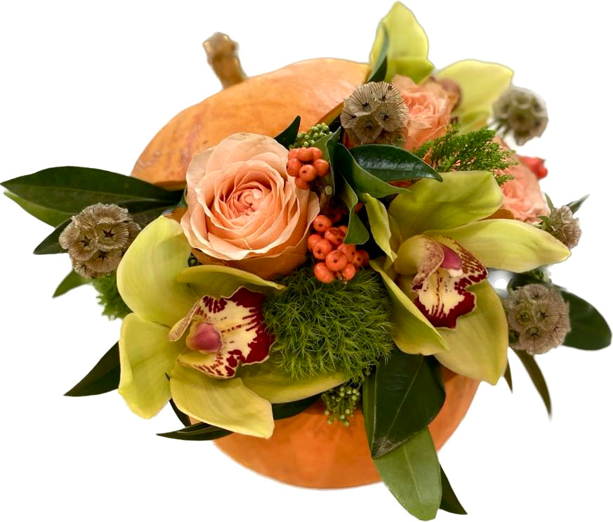 Orchids Composition in a Pumpkin