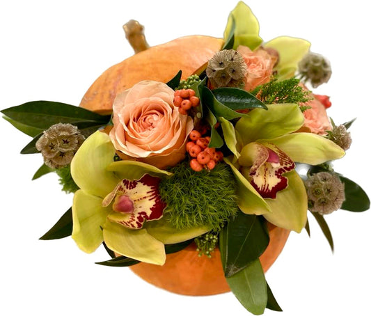 Orchids Composition in a Pumpkin