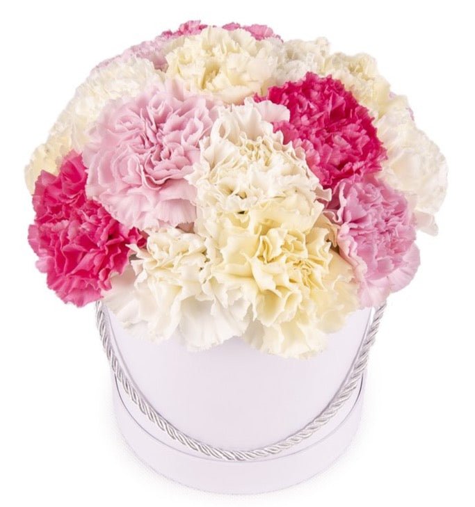 Pastel Colourful Carnations Box - Florist London