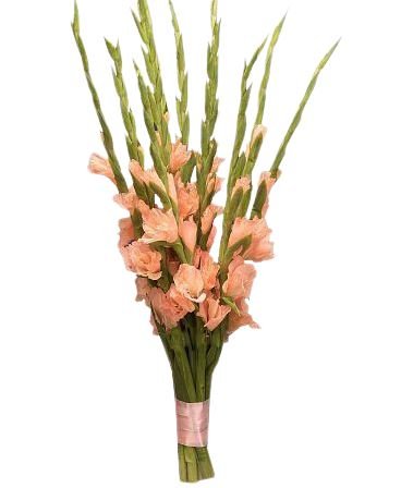 Peach Gladiolus Bouquet - Florist London
