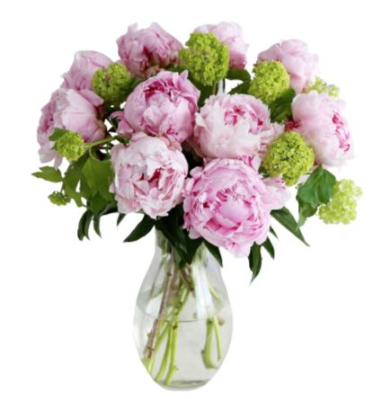 Peonies Bouquet with Viburnum in Vase