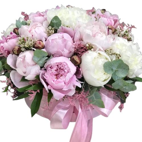 Peonies with Limonium Box