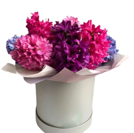 Perfect Hyacinth Box - Florist London
