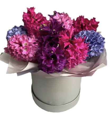 Perfect Hyacinth Box - Florist London