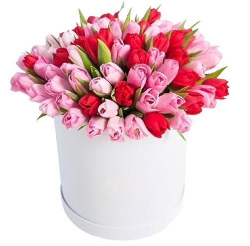 Pink and Red Tulips Box - Florist London