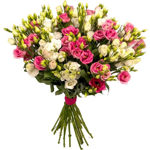Pink and White Lisianthus Flowers - Florist London