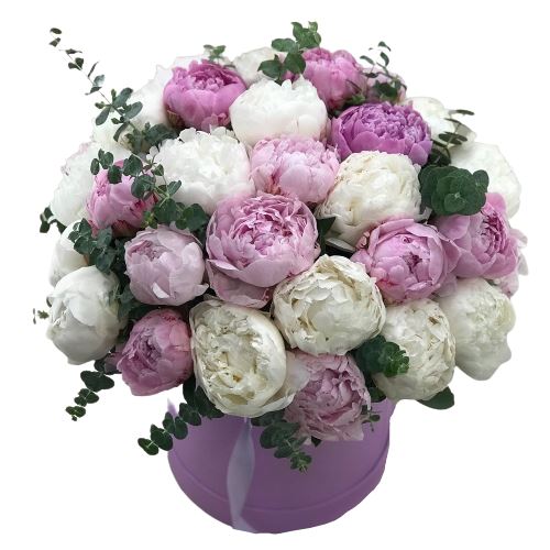 Pink and White Peony Box - Florist London