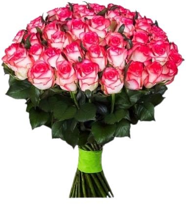 Pink Blush Roses Bouquet - Florist London