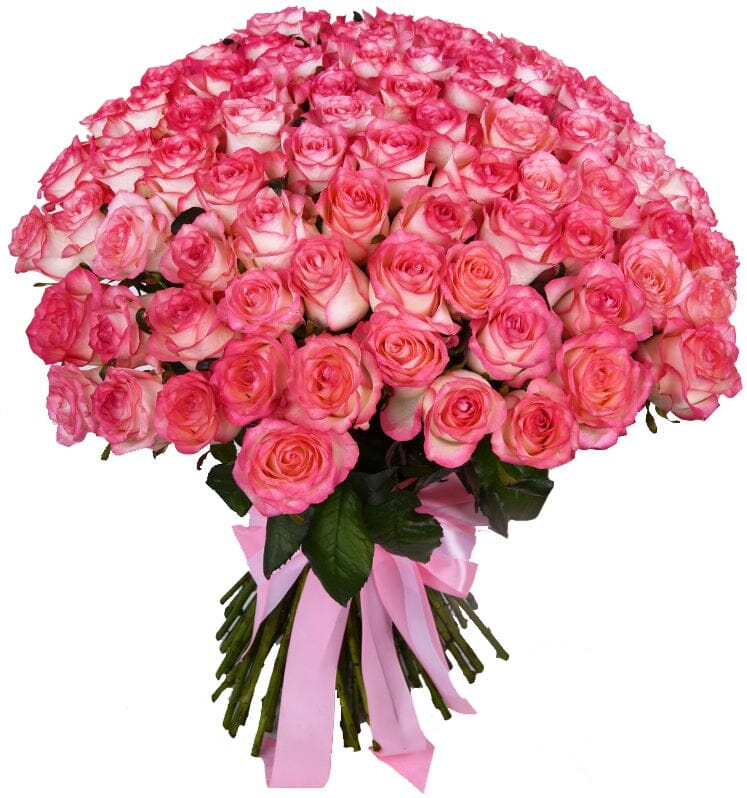 Pink Blush Roses Bouquet - Florist London