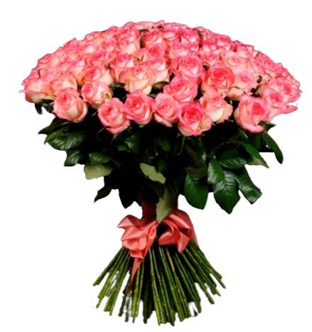 Pink Blush Roses Bouquet - Florist London