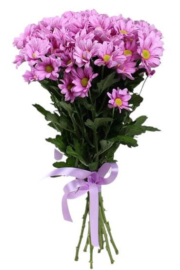 Pink Daisy Chrysanthemum Bouquet - Florist London