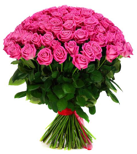 Pink Roses Bouquet - Florist London