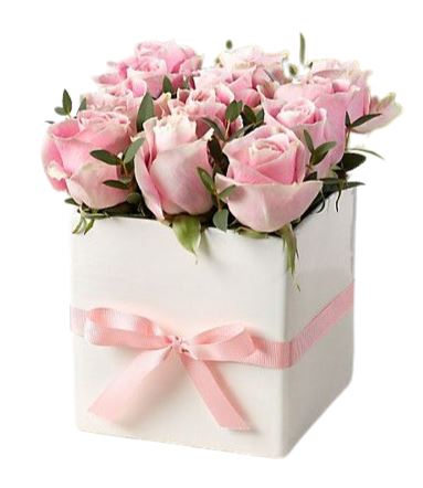 Pink Roses with Greenery Box