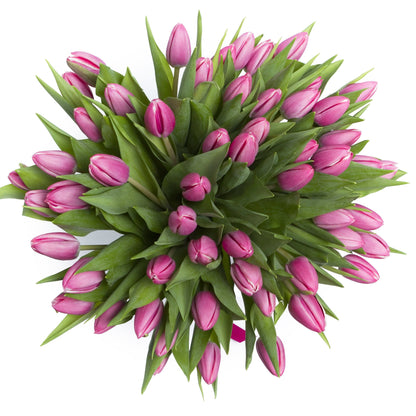 Pink Tulips Bouquet