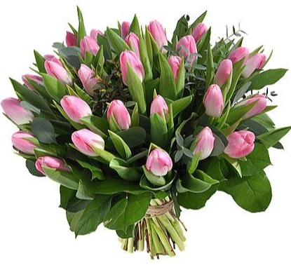 Pink Tulips with Greenery Bouquet - Florist London