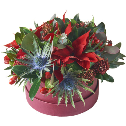 Poinsettia Christmas Flower Box - Florist London