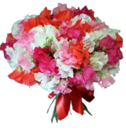 Pretty Sweet Pea Bouquet - Florist London