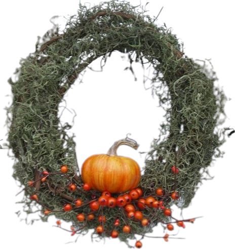 Pumpkin and Tillandsia Halloween Wreath - Florist London