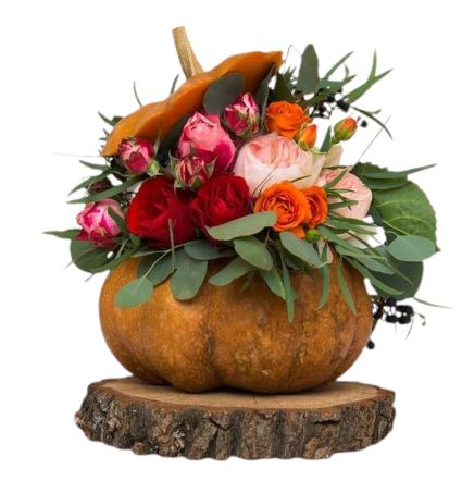 Pumpkin Flower Arrangement on Wood - Florist London