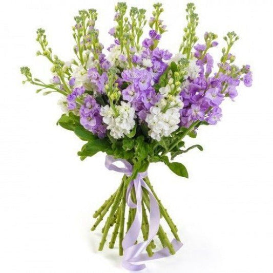 Purple and White Stock Bouquet - Florist London