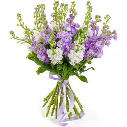 Purple and White Stock Bouquet