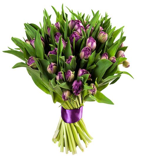 Purple Double Tulips Bouquet - Florist London