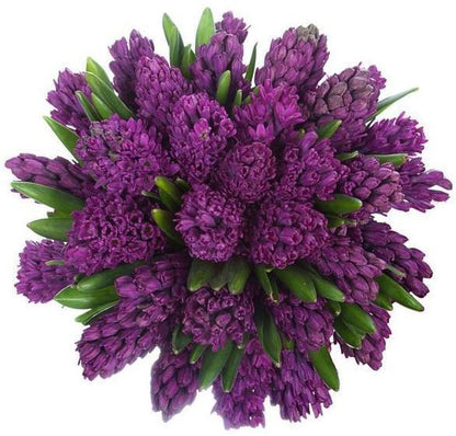 Purple Hyacinth Bouquet - Florist London