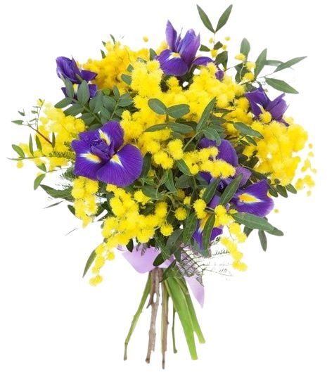 Purple Iris and Mimosa Bouquet - Florist London