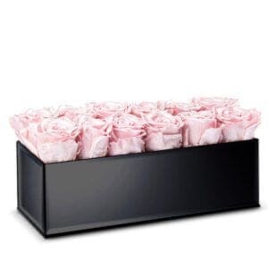 Rectangle Roses Box - Florist London