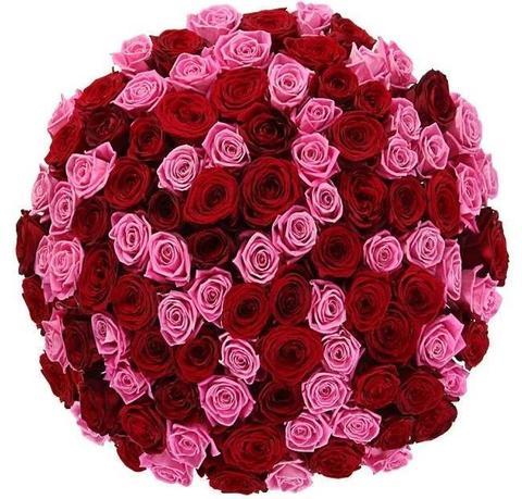 Red and Pink Roses Bouquet - Florist London