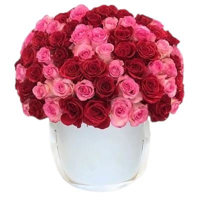 Red and Pink Roses Luxury Box - Florist London