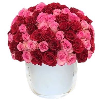 Red and Pink Roses Luxury Box