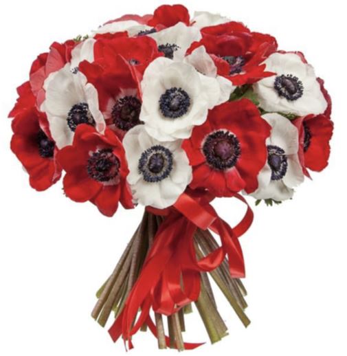 Red and White Anemones Bouquet - Florist London